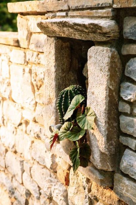 Archontiko Epirus 1 *